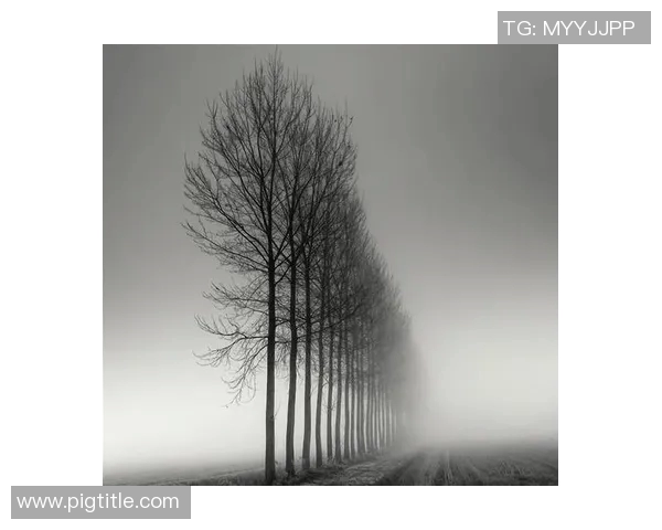 亚当斯的传奇人生与影响力探秘：从历史到现代的深远启示