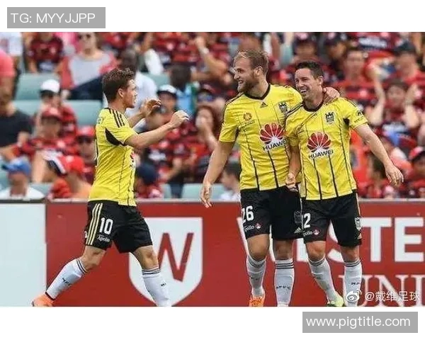 中央海与惠灵顿足球队对决分析及战术探讨 中央海与惠灵顿足球队对决分析及战术探讨