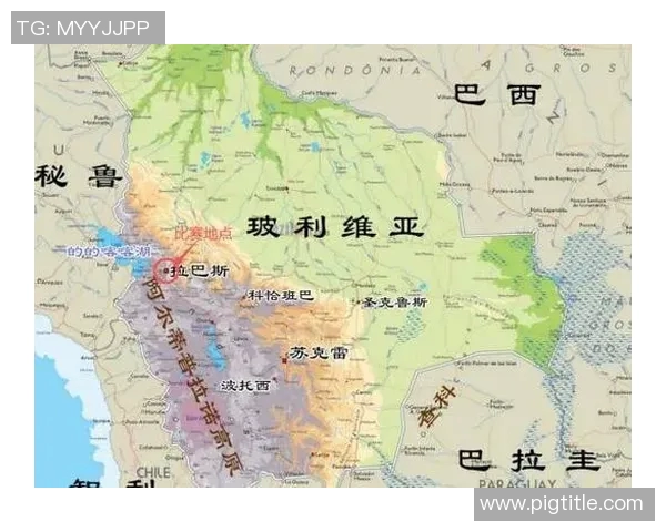 巴西与玻利维亚的较量谁能赢得胜利分析与预测