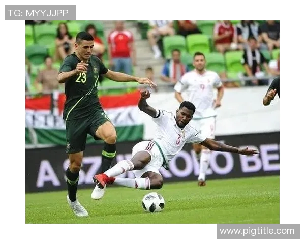 斯洛伐克与匈牙利对决前瞻及比赛结果预测分析