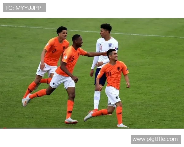 荷兰与爱沙尼亚精彩对决录像回放全程分析与精彩瞬间重温