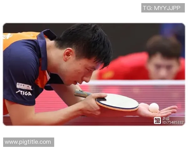 对话王强：回顾乒乓球生涯的辉煌与挑战之路