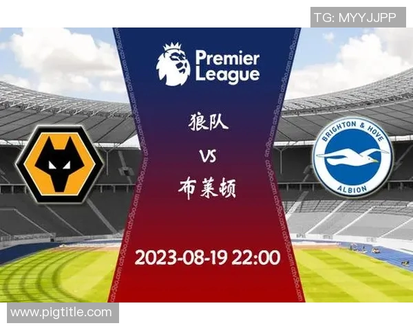 布莱顿对阵狼队赛事分析与推荐策略详解 布莱顿对阵狼队赛事分析与推荐策略详解