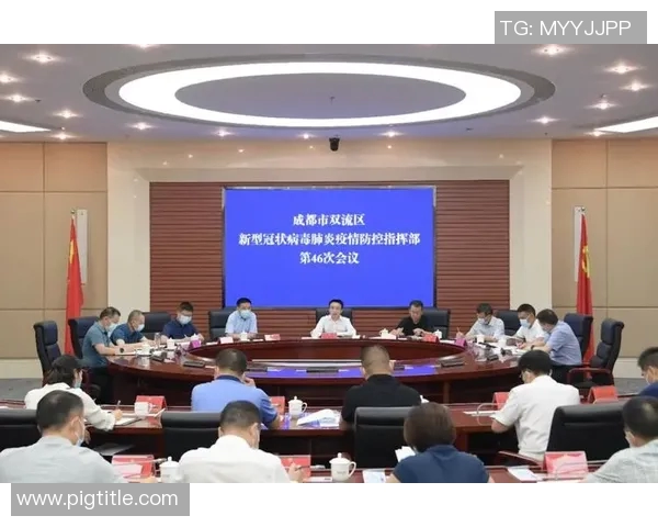 成都网球队的战术控制体系解析与实战应用探讨