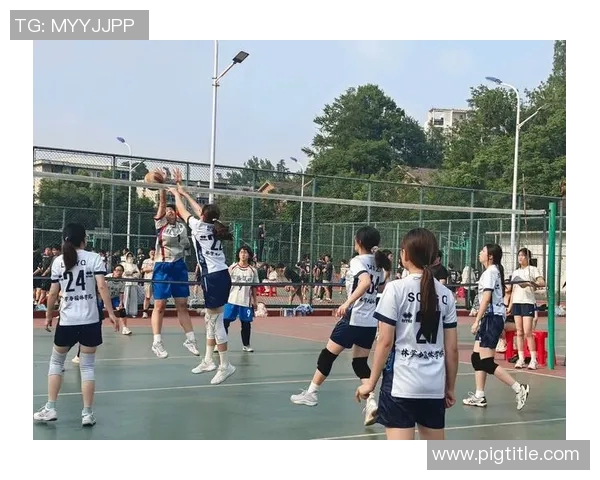 杭州排球队整体压制战术解析与深度剖析排球竞技的胜负关键MBA