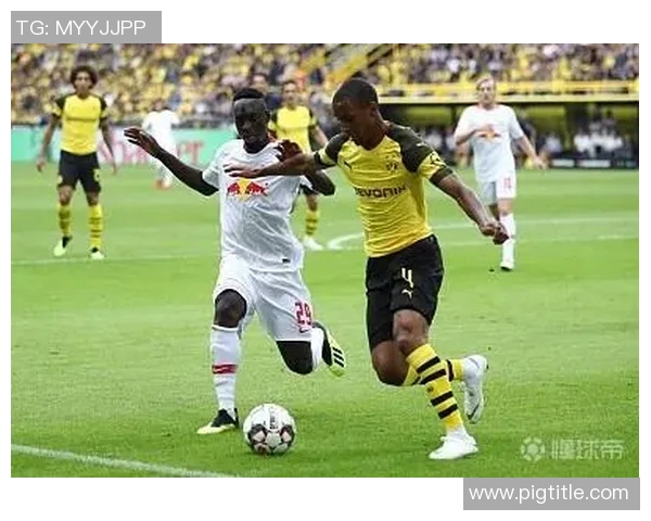 索肖对尼姆比赛结果揭晓分析及未来展望 索肖对尼姆比赛结果揭晓分析及未来展望