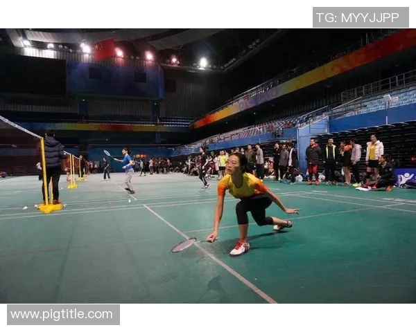 赛后分析：北京羽毛球队与南京羽毛球队个人能力对比探讨