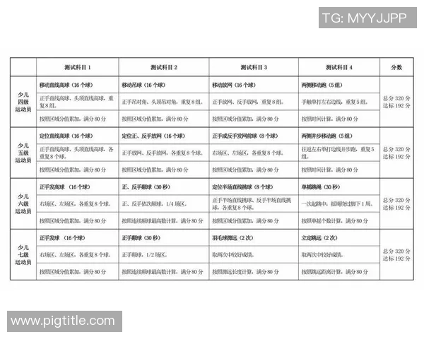 北京羽毛球队勇夺最新羽毛球耐力TOP10榜首位置引发热议