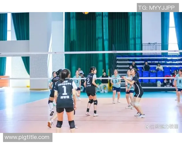 成都排球队与南京排球队赛后状态分析与表现总结