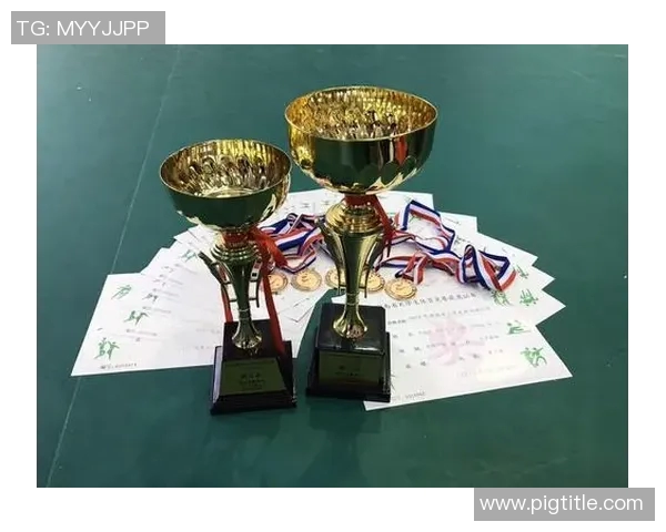 武汉乒乓球队在全国耐力排行榜中荣获第三名的辉煌成就