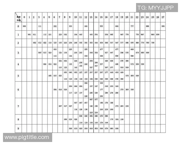 深入解析上海排球队战术表现与数据分析的关系与影响